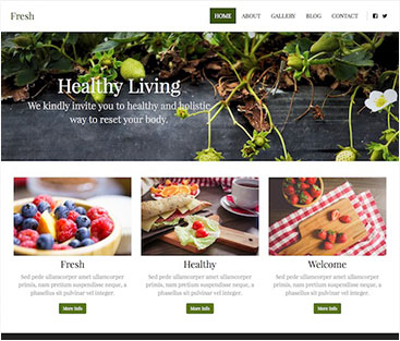 Website Builder Theme 3